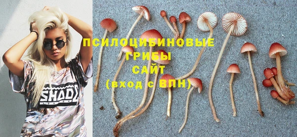 экстази Зерноград