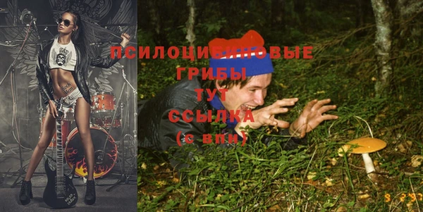 экстази Зерноград